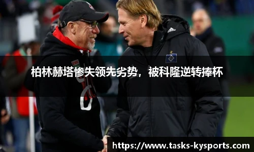 开云体育官网平台